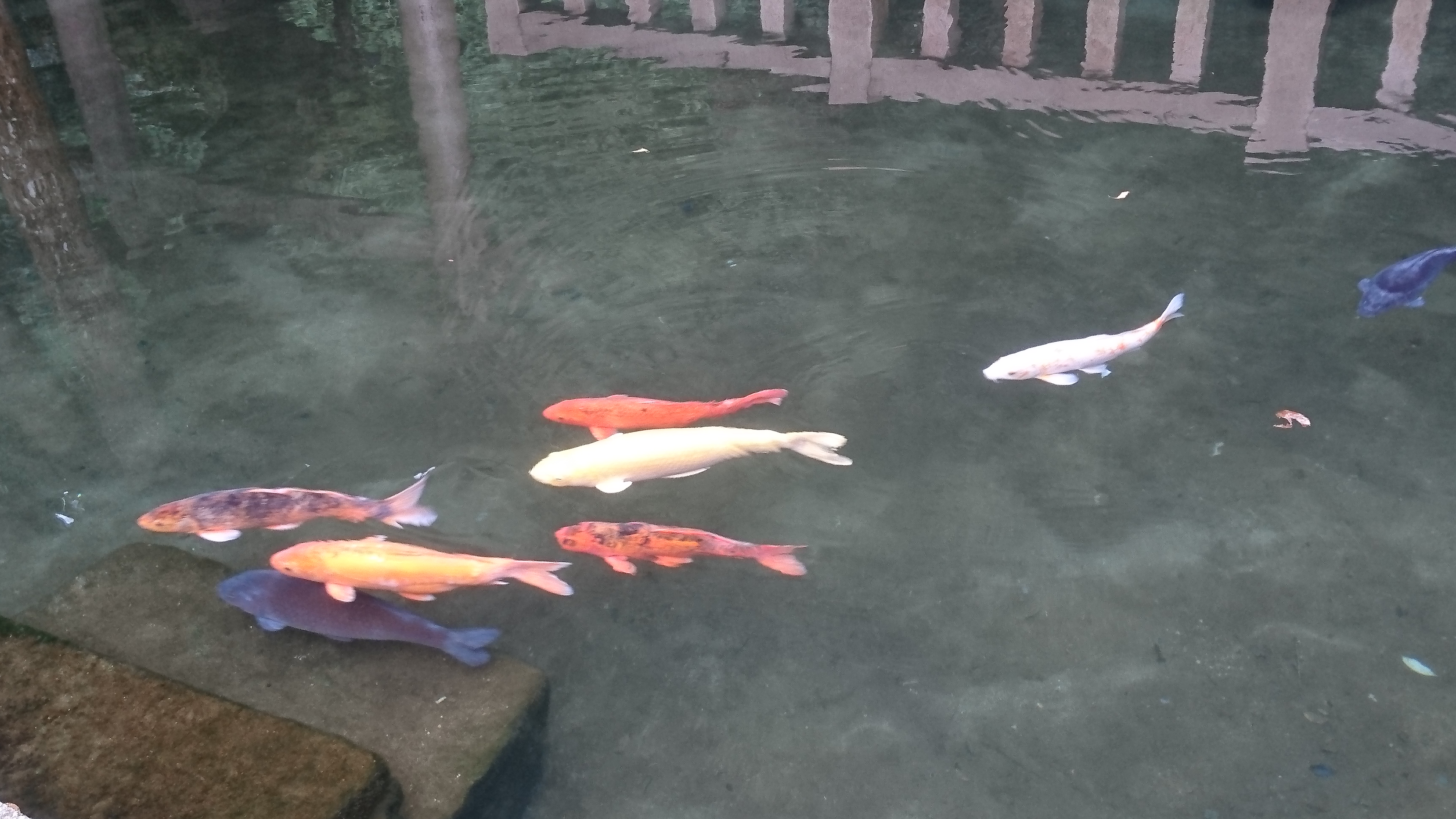 消費税を納めるようになったら、利益は税抜きの数字で把握しよう | 1972～千葉県四街道市の「まちの税理士」のブログ～