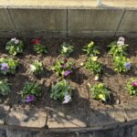 税理士試験の発表がありました